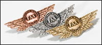 Click for more information on the FAASTeam WINGS program.